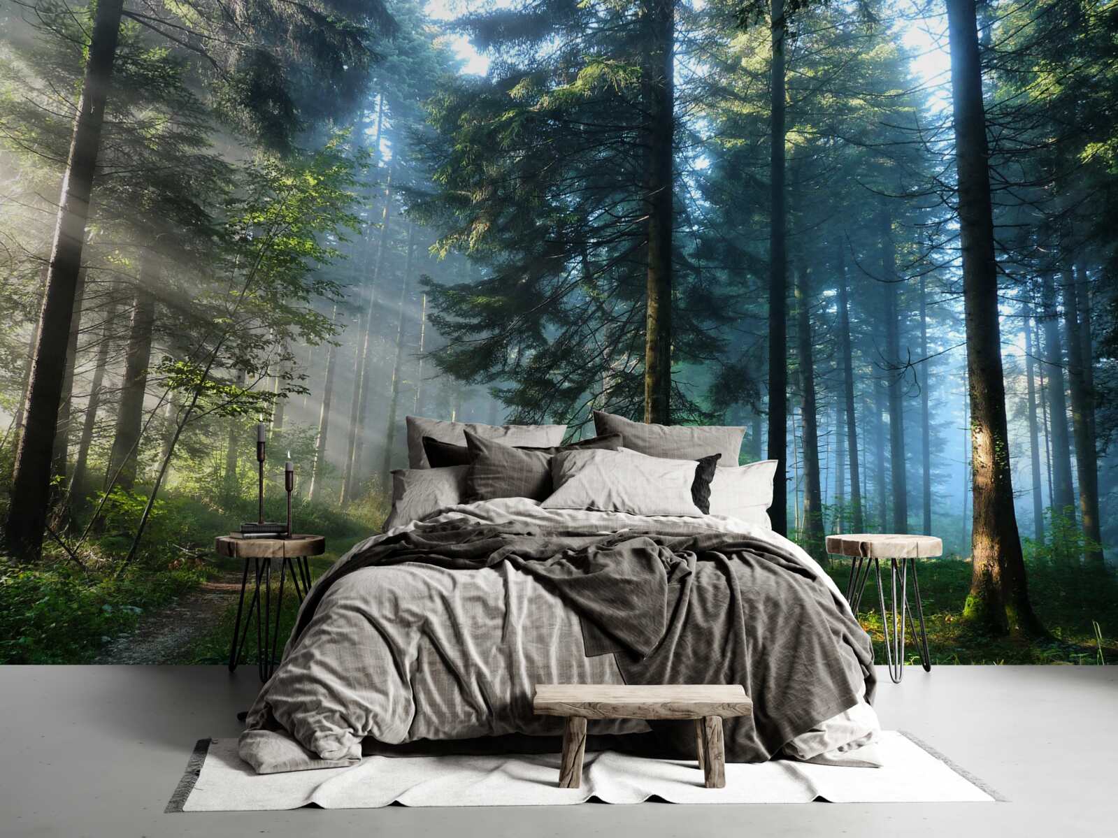 Fototapeta Cesta hmlistým lesom