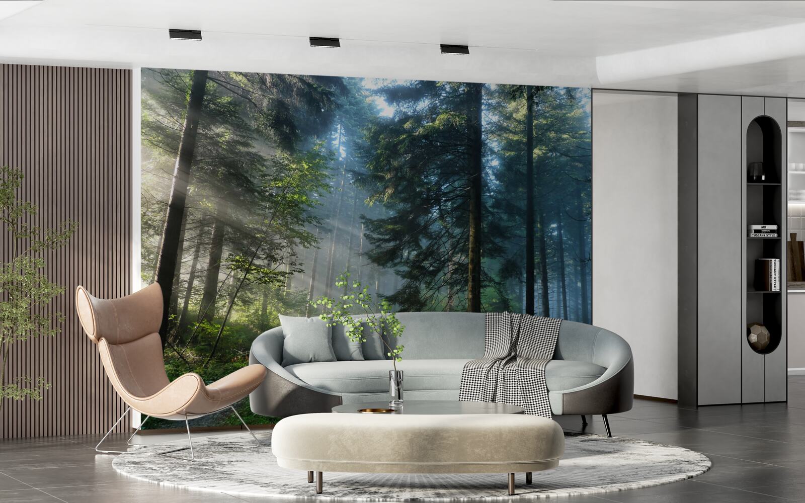 Fototapeta Cesta hmlistým lesom