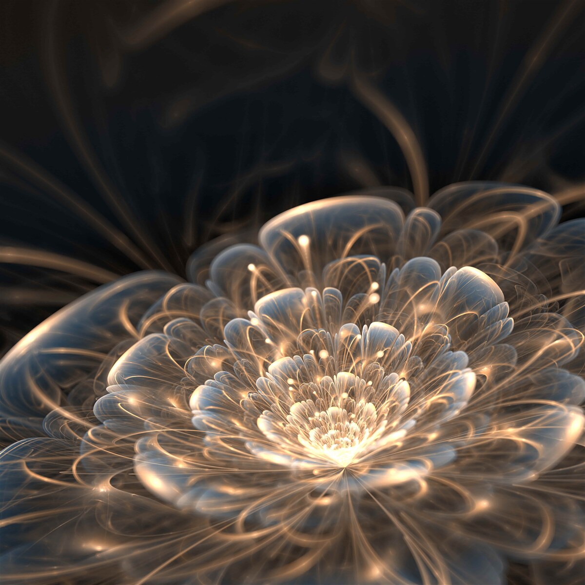 Fototapeta veľký kvet svetla