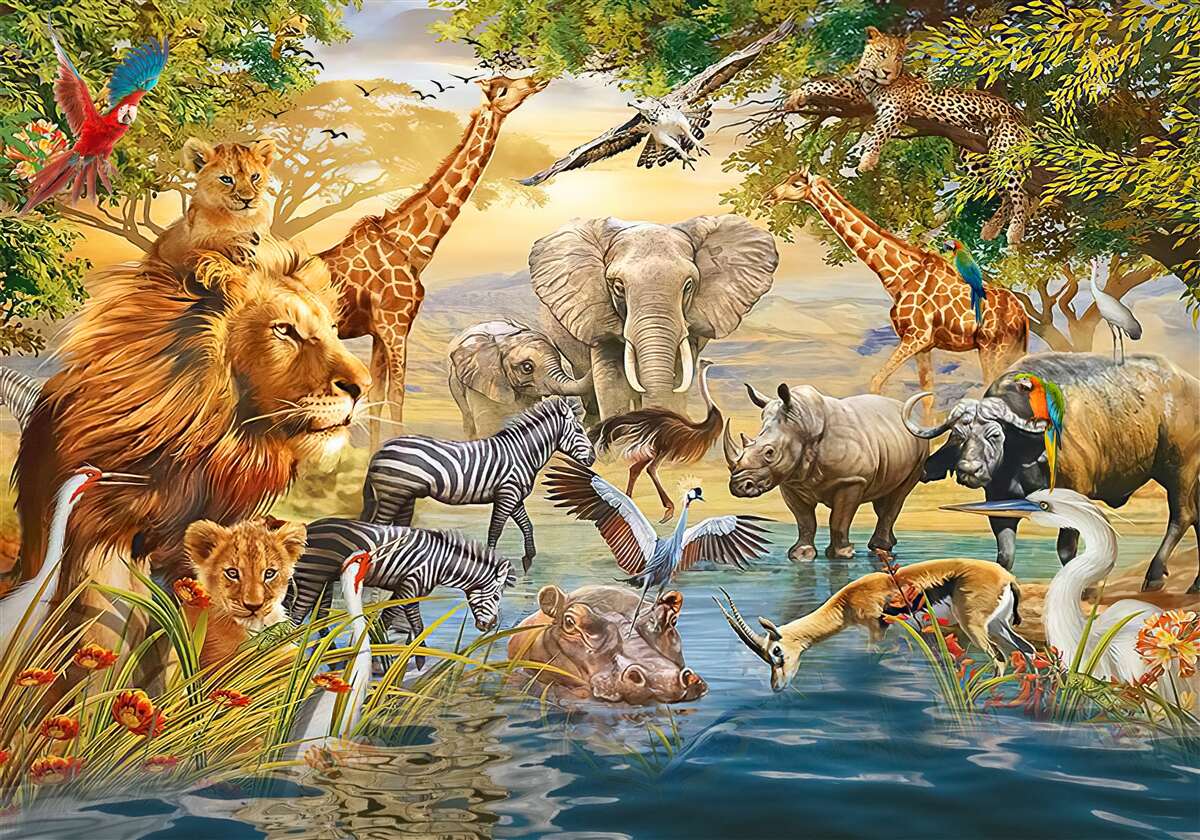 Fototapeta Africké zvieratá v blízkosti rybníka