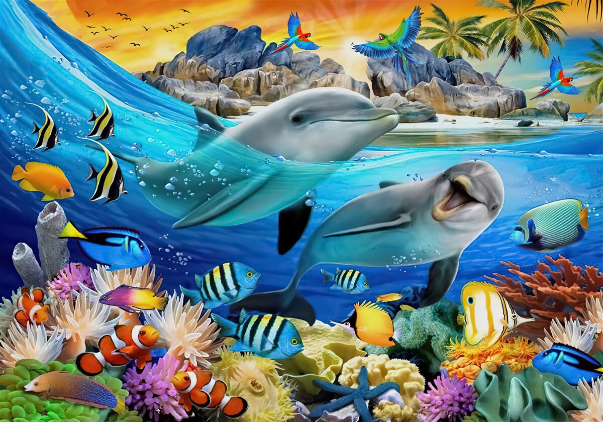 Fototapeta delfíny plávajú na hladinu vody