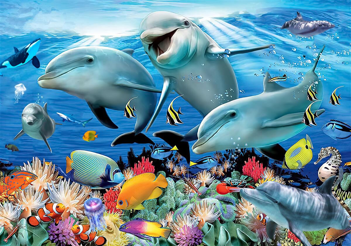 Fototapeta delfíny a ryby sa usmievajú pod vodou