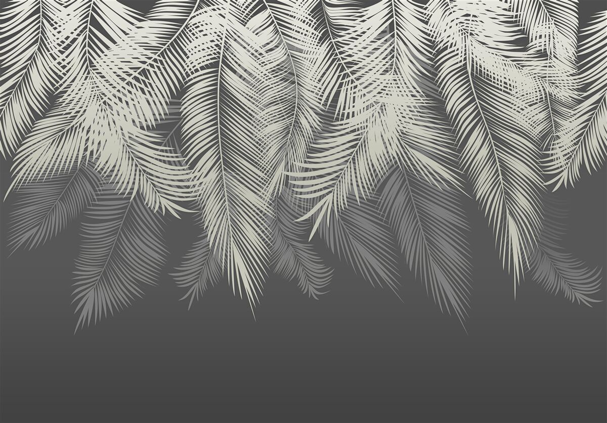 Fototapeta papraď odchádza v tme noci