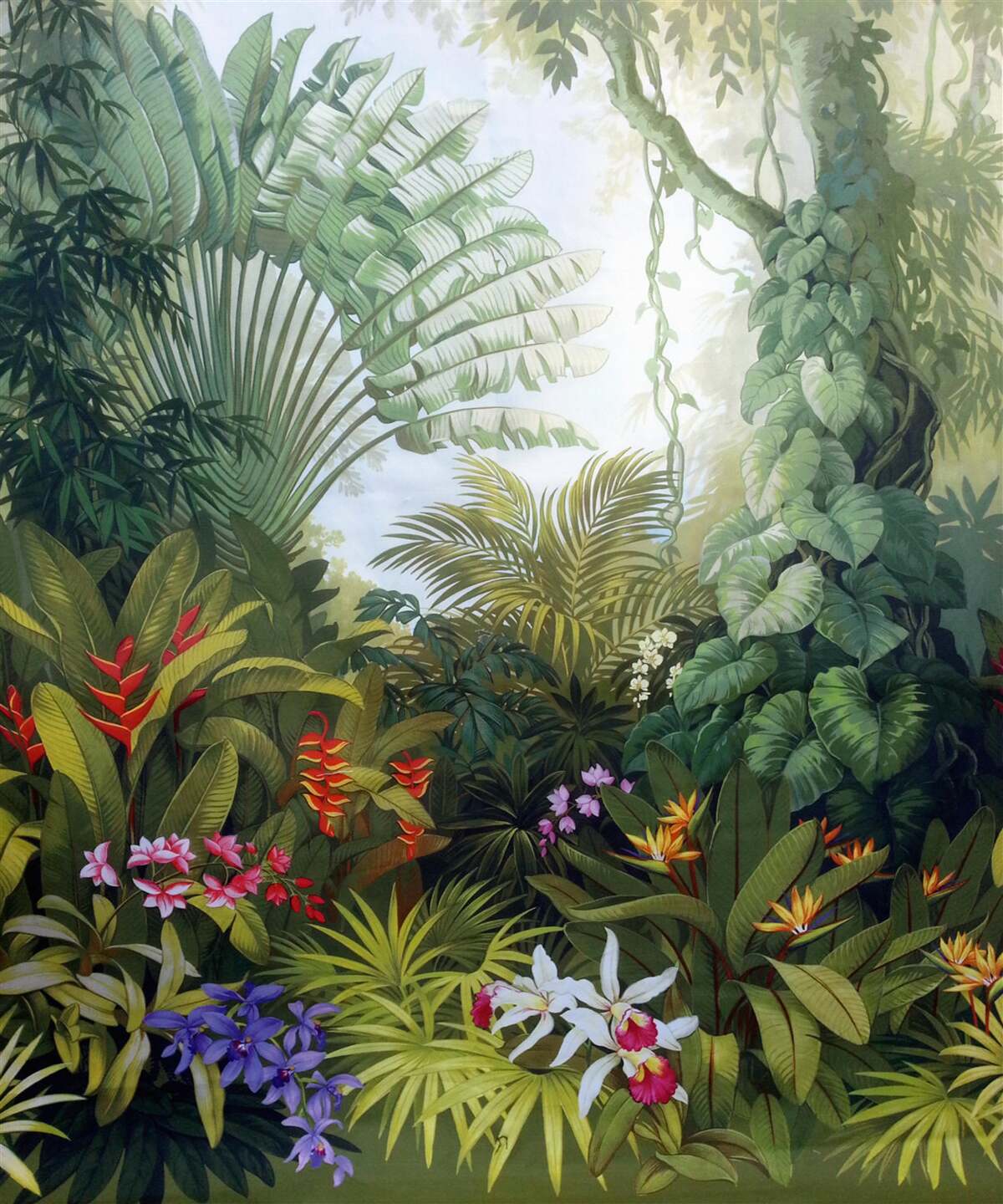 Fototapeta fascinujúce a tajomné dažďové pralesy