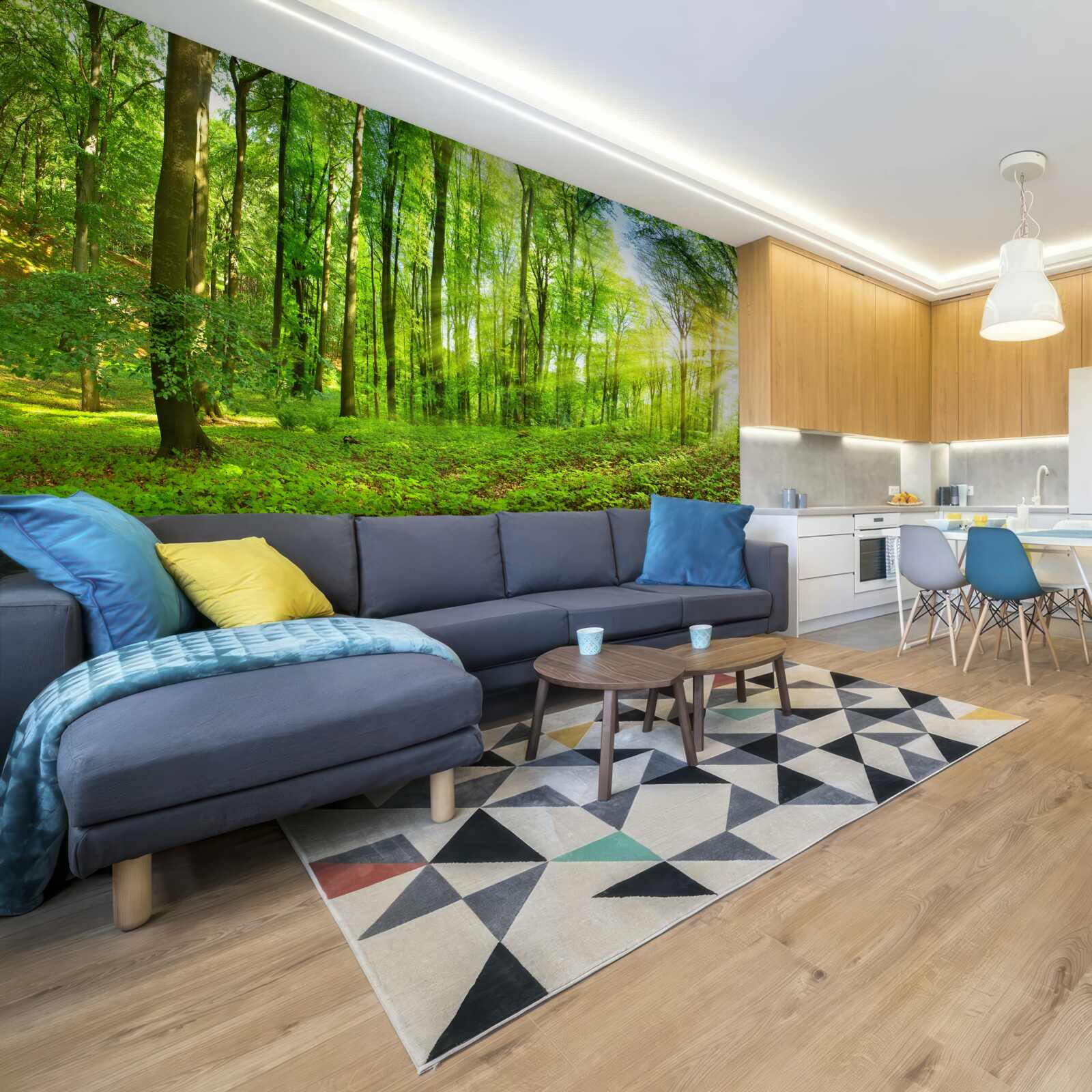 Fototapeta Svitanie v lese, kde vládnu zelené listy