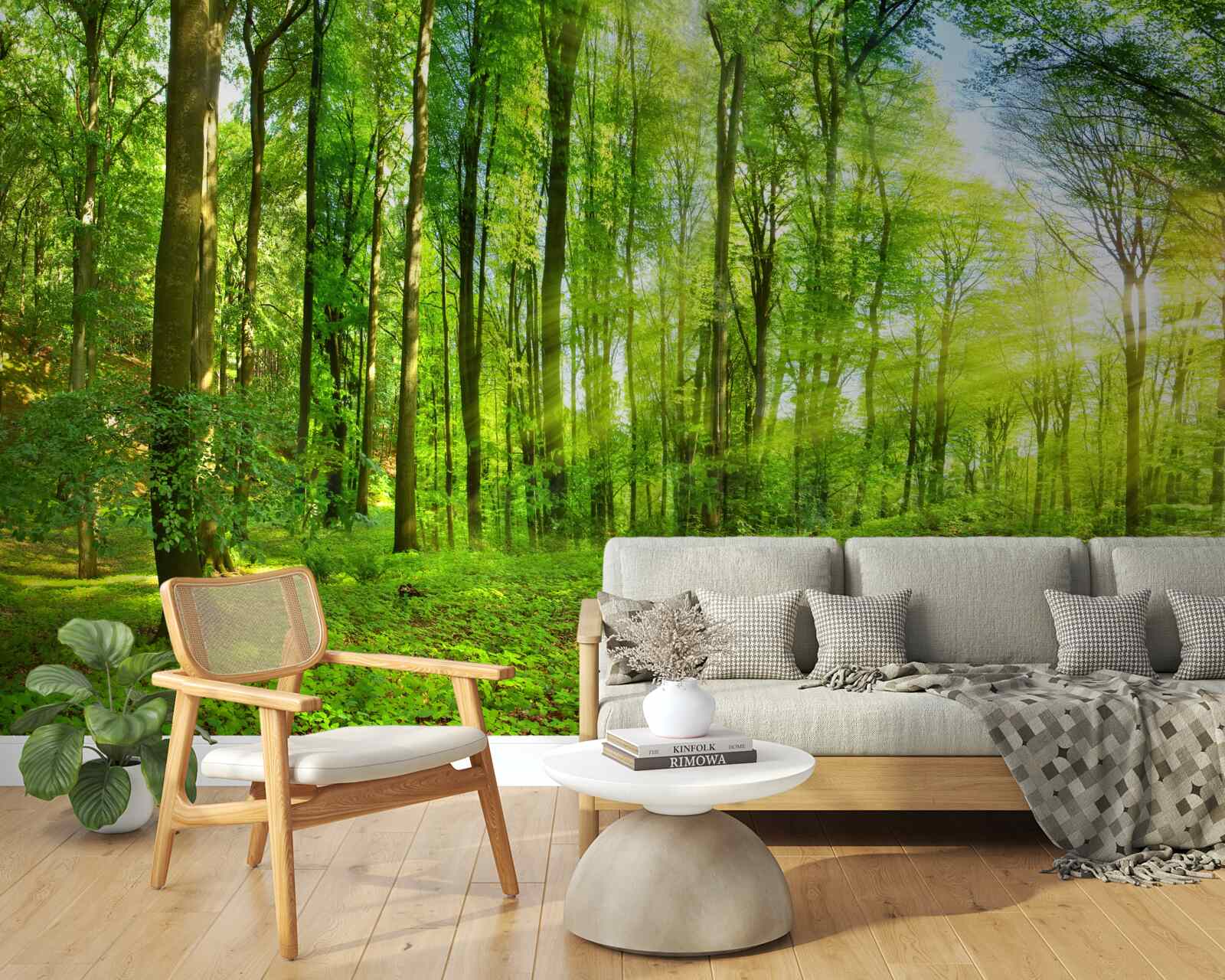 Fototapeta Svitanie v lese, kde vládnu zelené listy