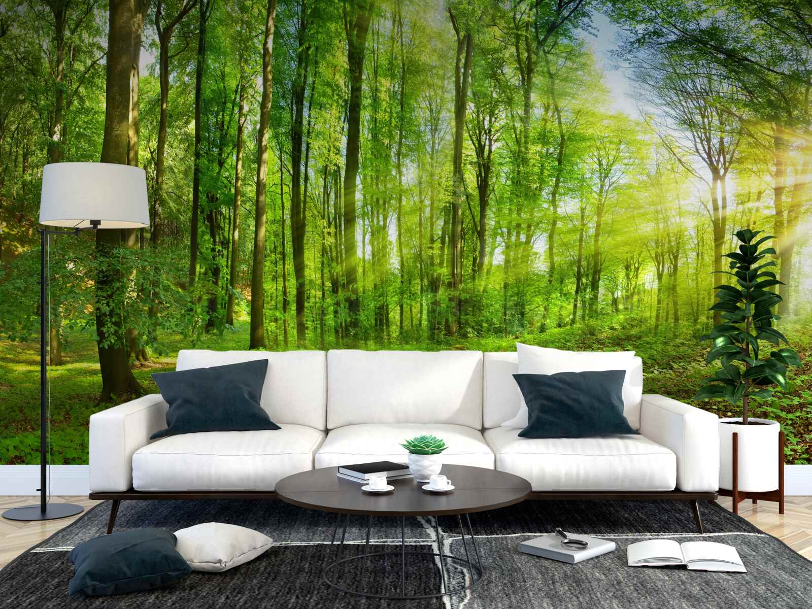 Fototapeta Svitanie v lese, kde vládnu zelené listy