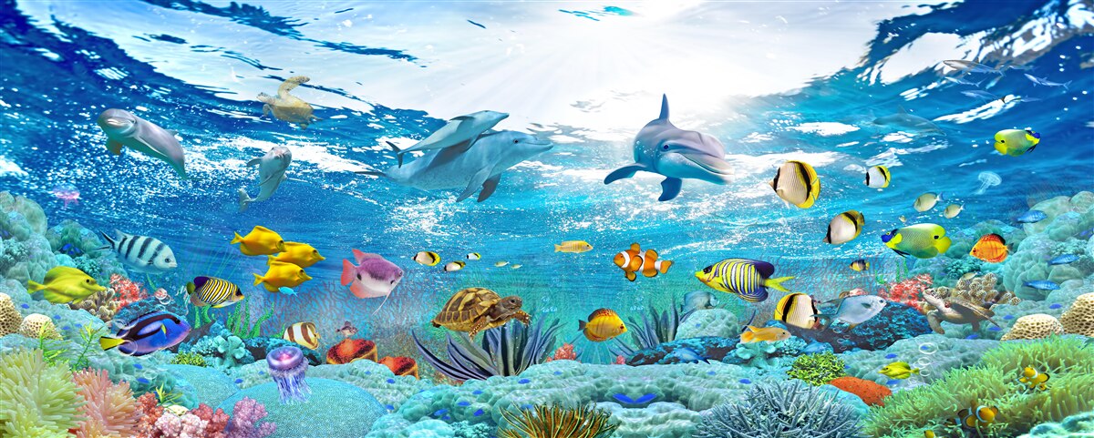 Fototapeta Svet pod vodou v hĺbke