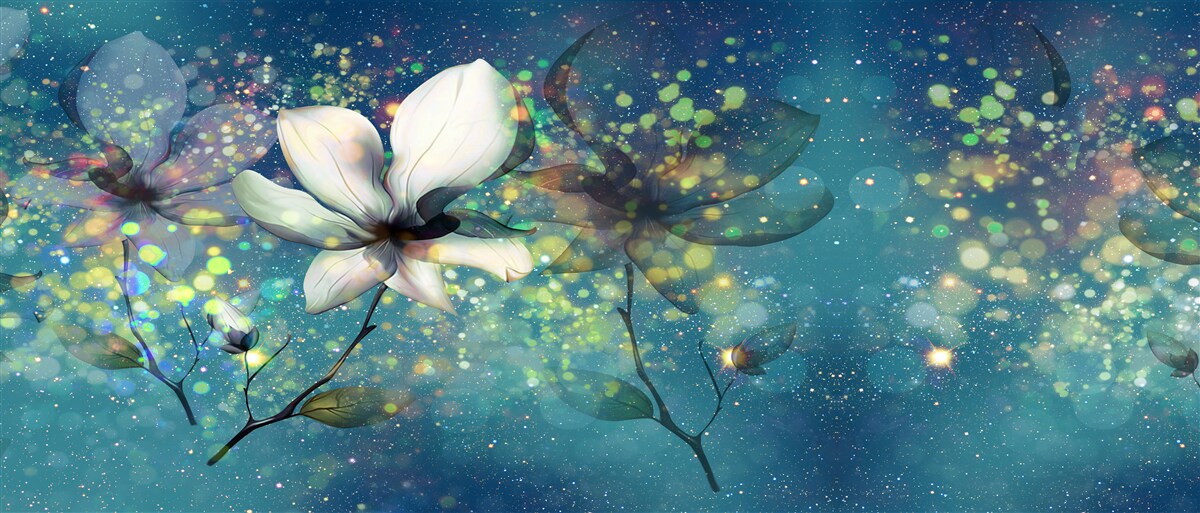 Fototapeta biely kvet v noci posiatej hviezdami