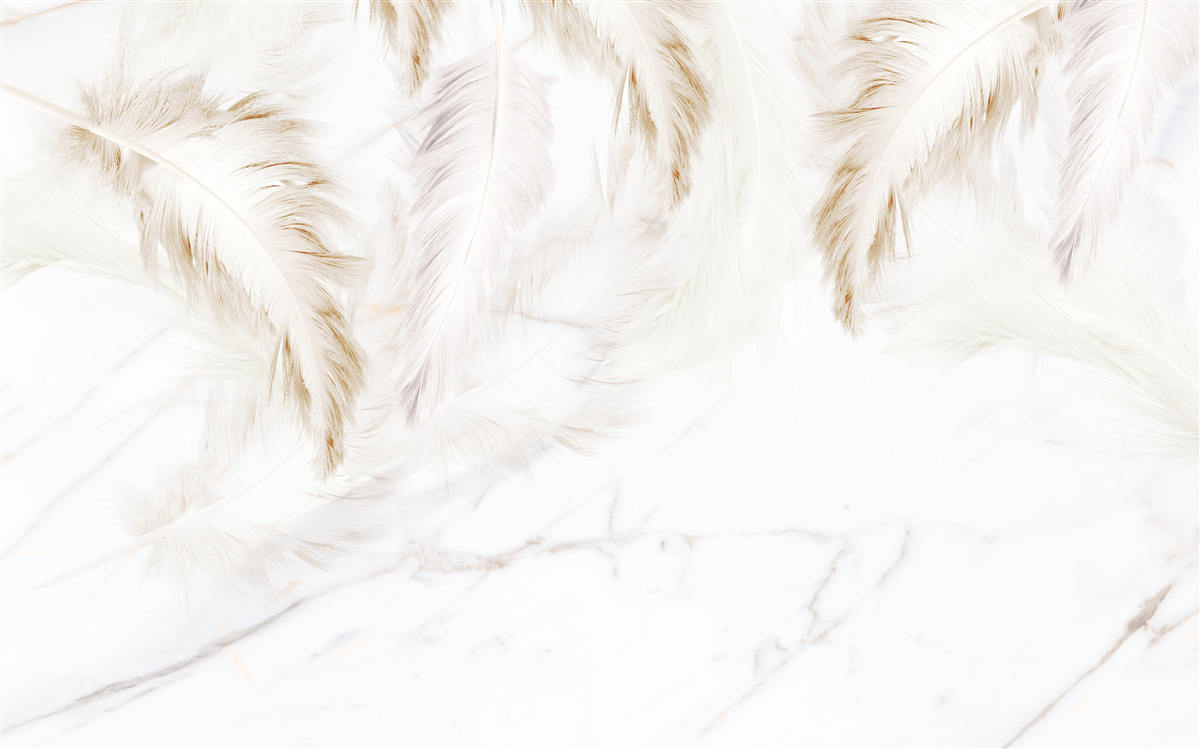 Fototapeta svetlé pozadie so zlatými, zložitými časťami peria