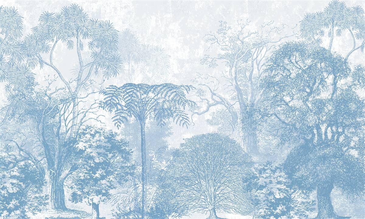 Fototapeta čiernobiely obraz lesnej krajiny