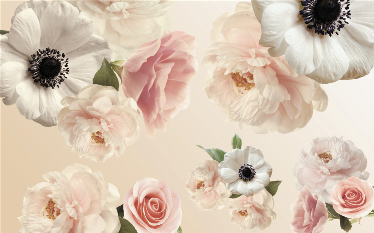 Fototapeta ružová ruža s bielym makom