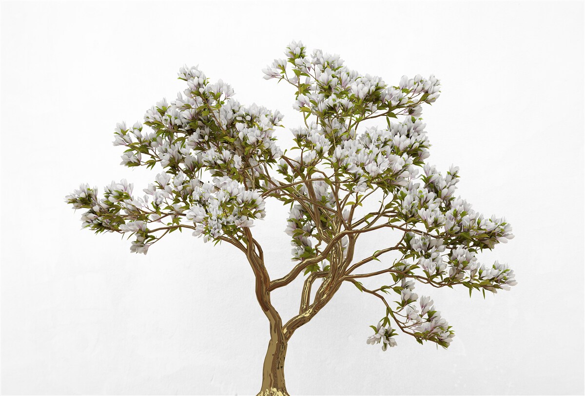 Fototapeta osamelý bonsaj má pôvabnú krásu