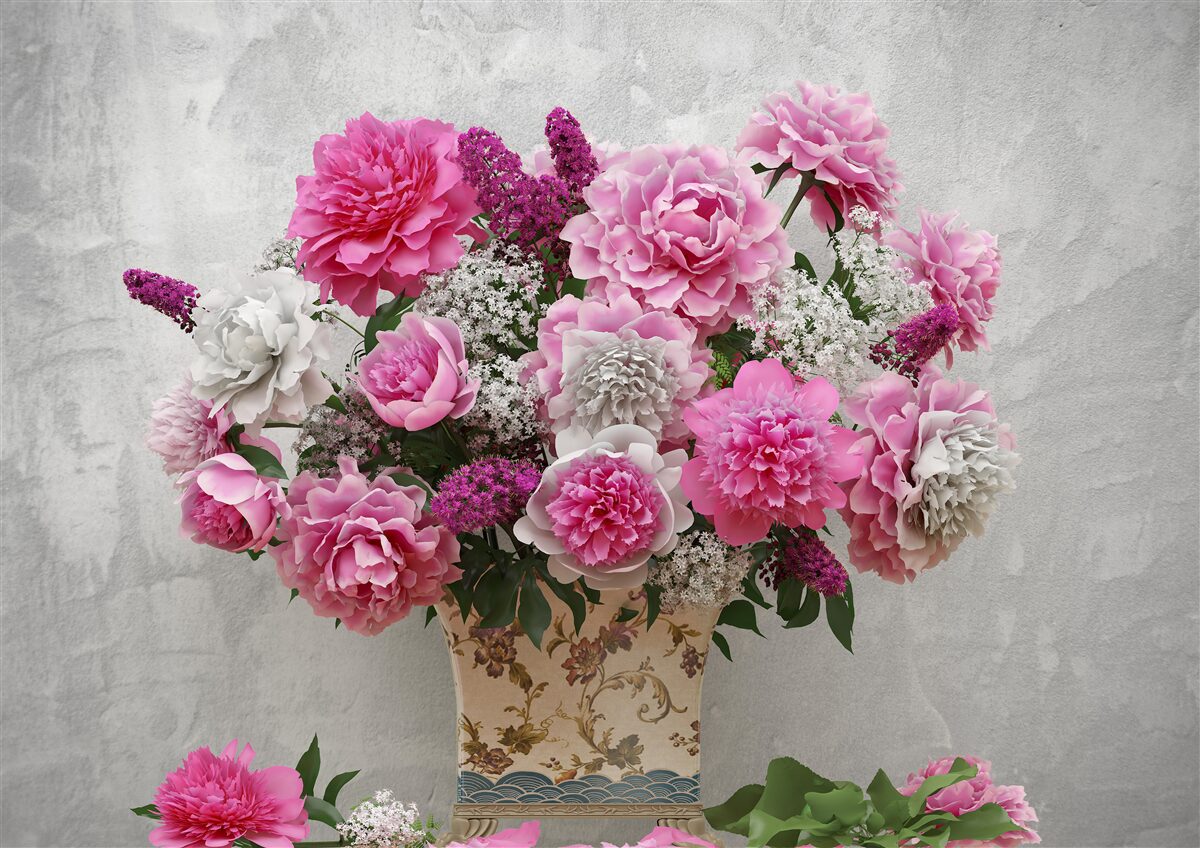 Fototapeta zloženie bielych sedmokrásky a kvetov orgovánu