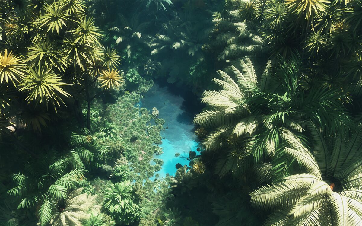 Fototapeta nočná obloha s tropickými rastlinami