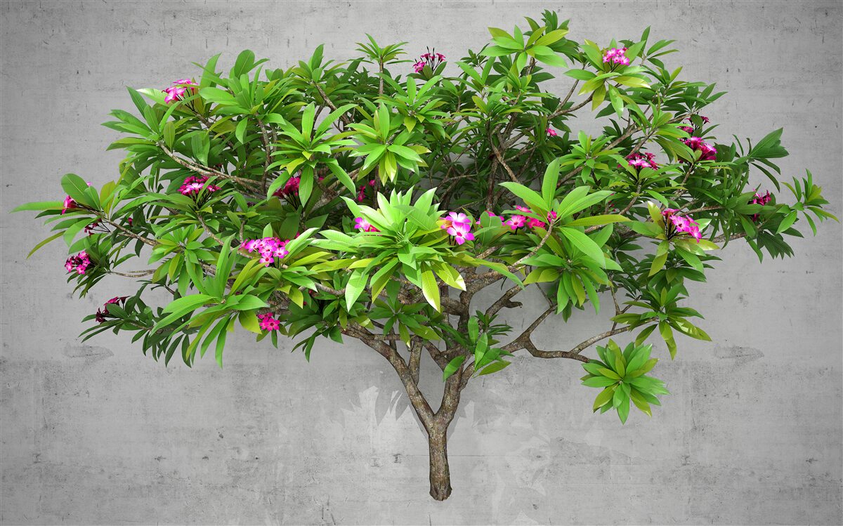 Fototapeta záblesk zelene na listnatom strome