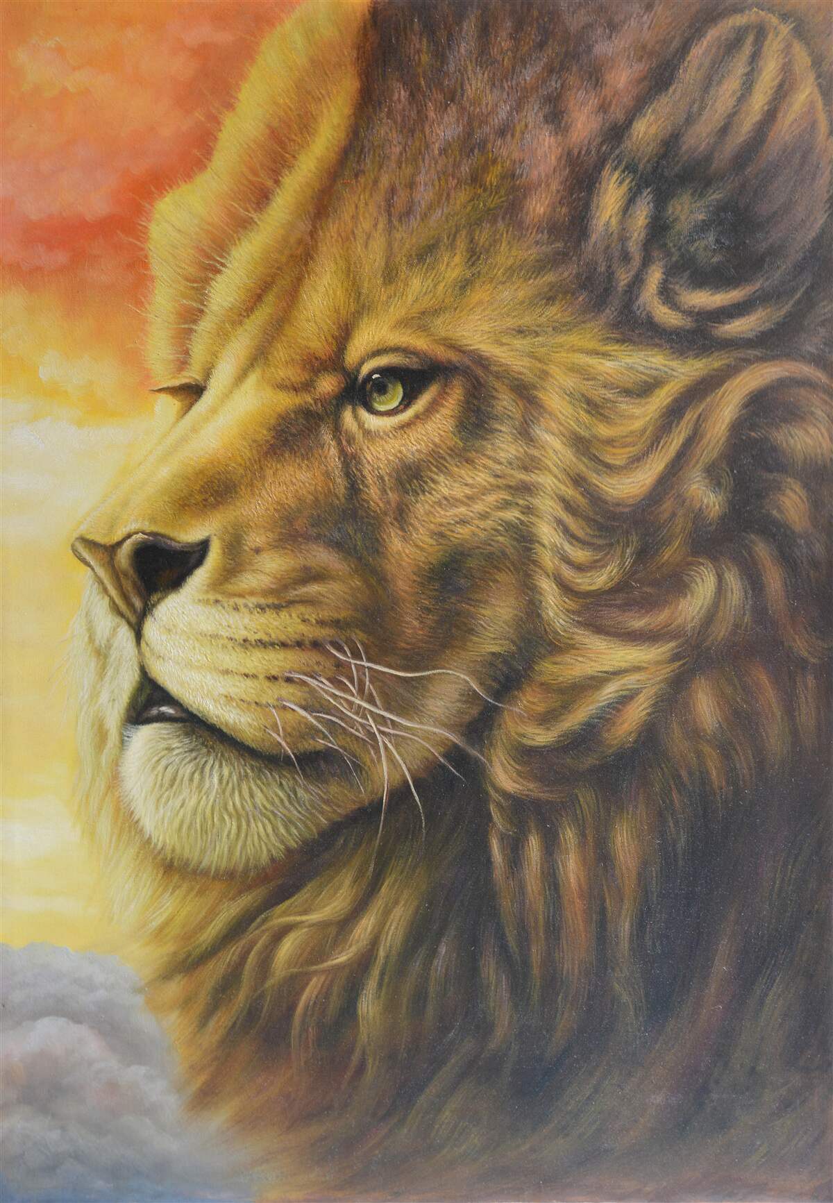 Fototapeta nádherný obraz leva