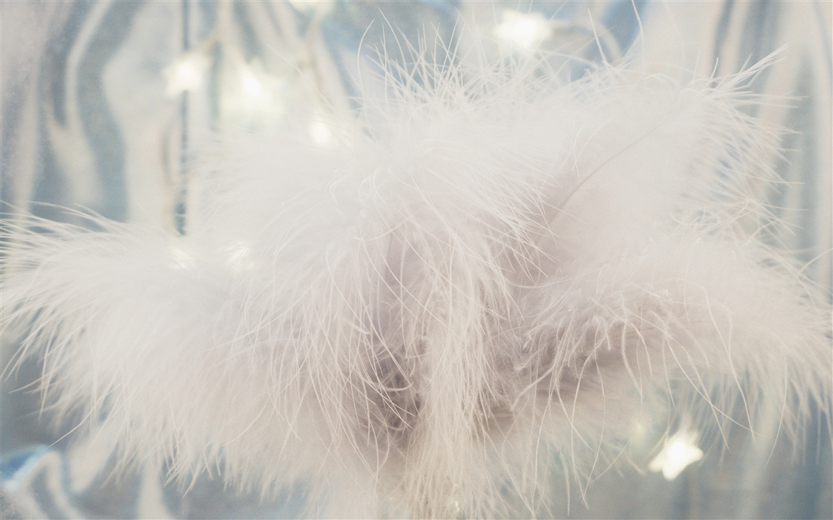 Fototapeta husté svetlo dole