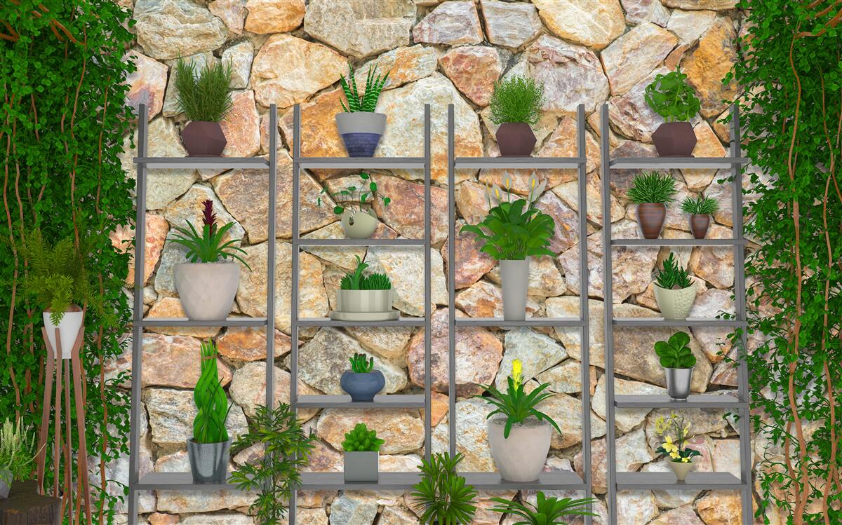 Fototapeta črepníkové rastliny na poličke, natreté zelenou farbou