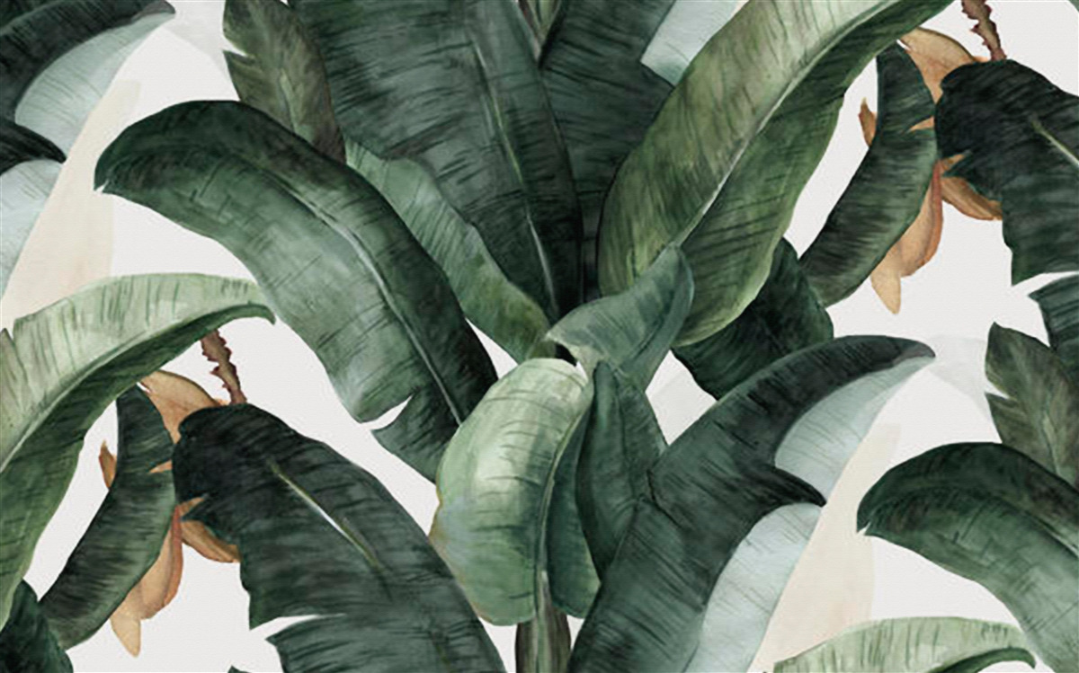Fototapeta veľké tmavozelené listy z tropických oblastí
