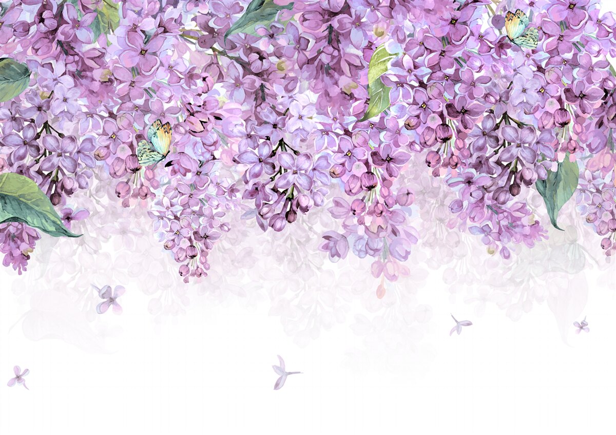 Fototapeta svetlofialová fialová stena