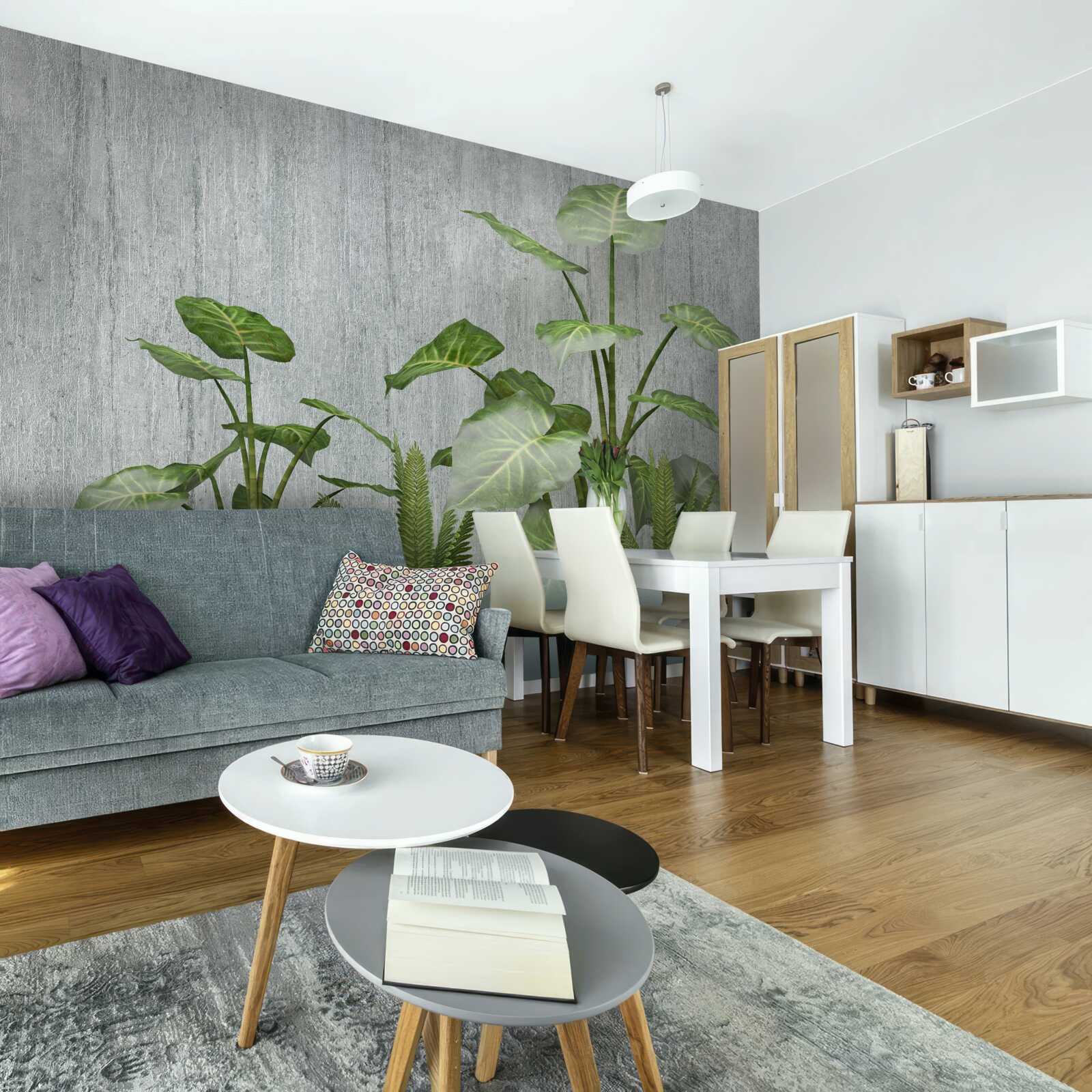 Fototapeta mocný ker monstera na striebornom pozadí