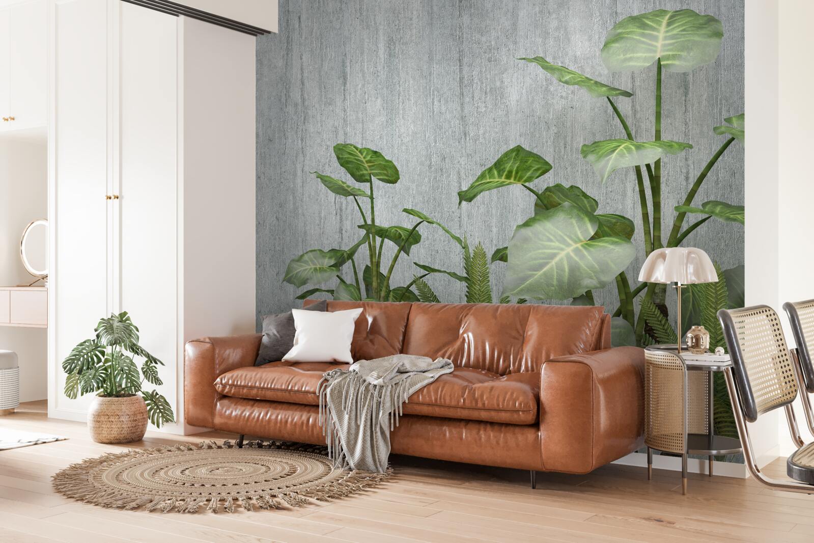 Fototapeta mocný ker monstera na striebornom pozadí