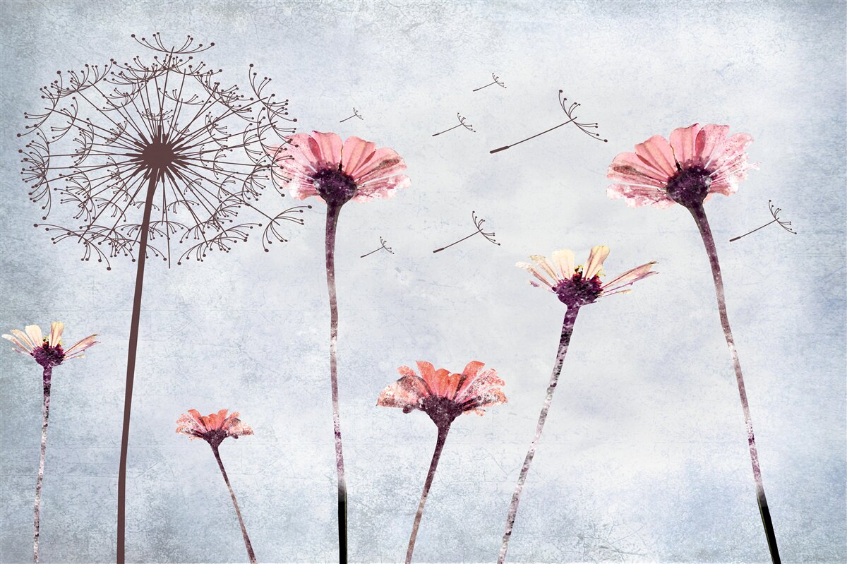 Fototapeta vlčie maky a gerbery pod silným nárazovým vetrom