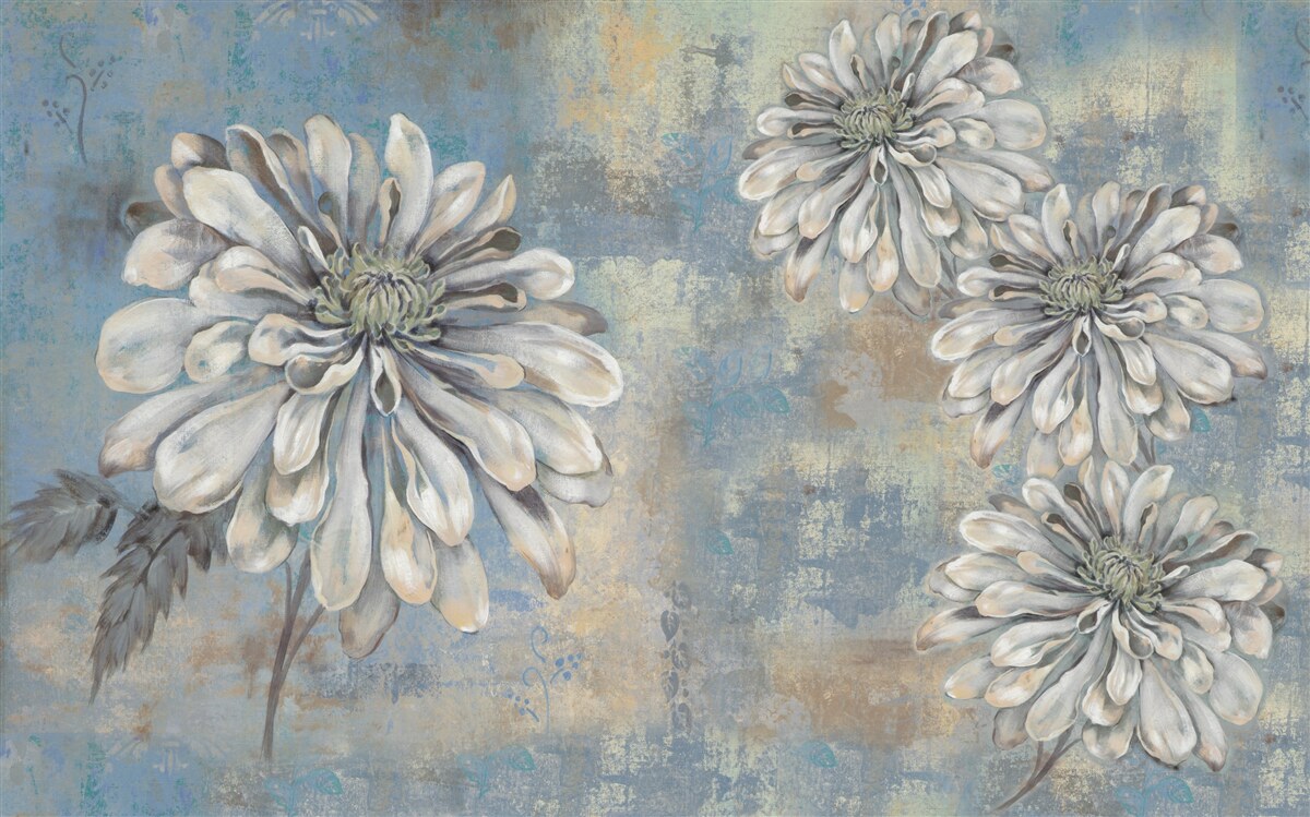 Fototapeta snehobiele astry veľkosti dažďa vylievajú do pozadia dažďa