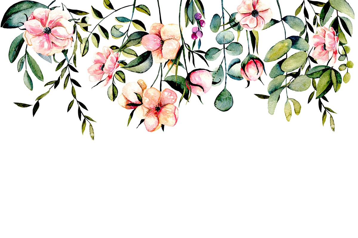 Fototapeta kvety rastúce v lete