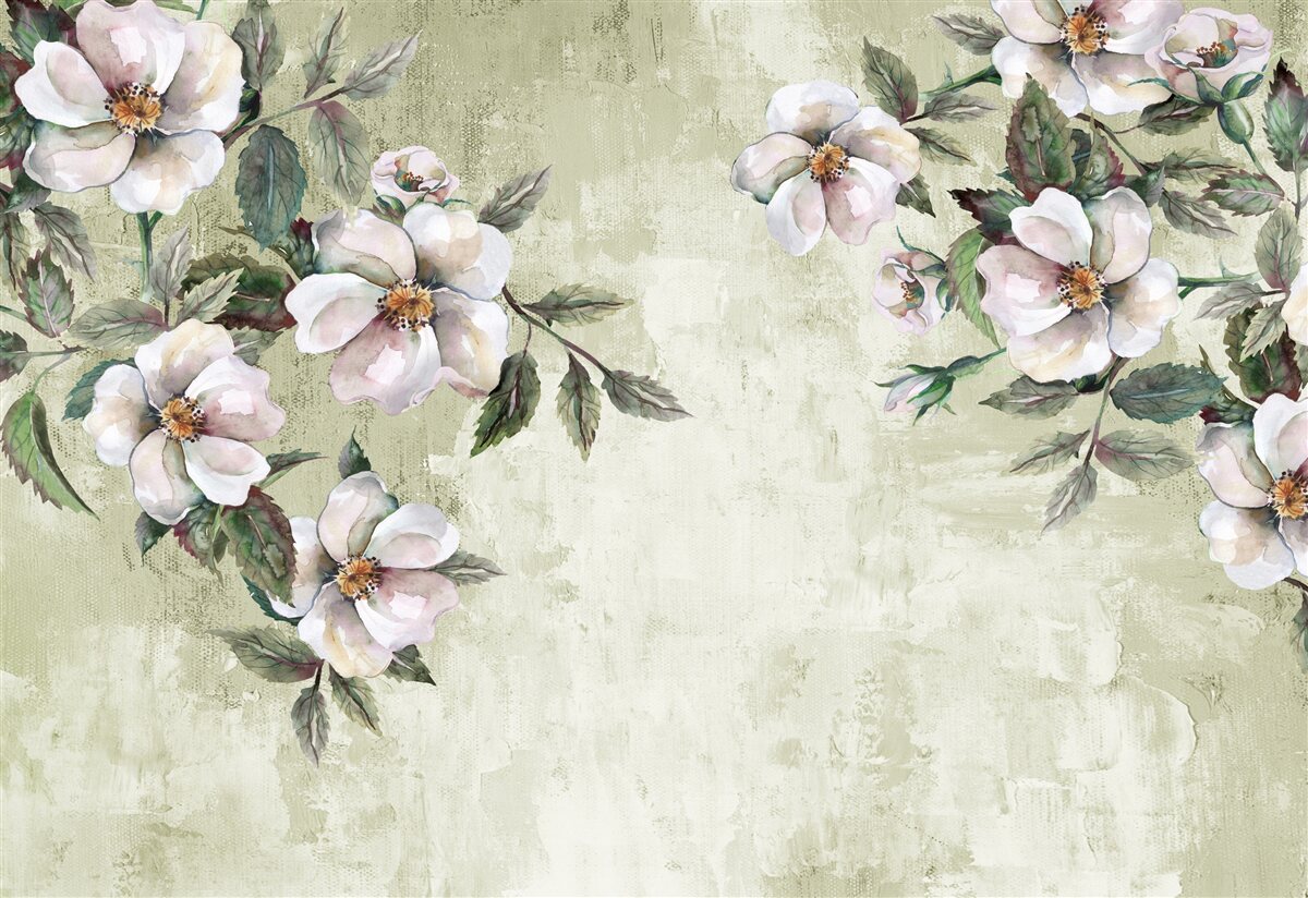 Fototapeta rozprestierajúce sa konáre snehobielej magnólie