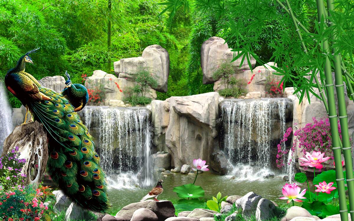 Fototapeta tiché rybníky v sviežom zelenom lese