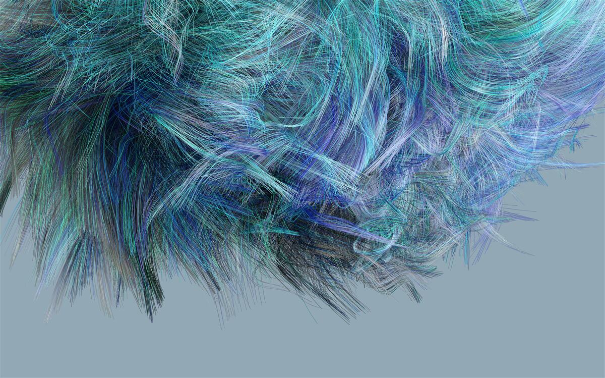 Fototapeta nezvyčajná kytica z viacfarebného peria