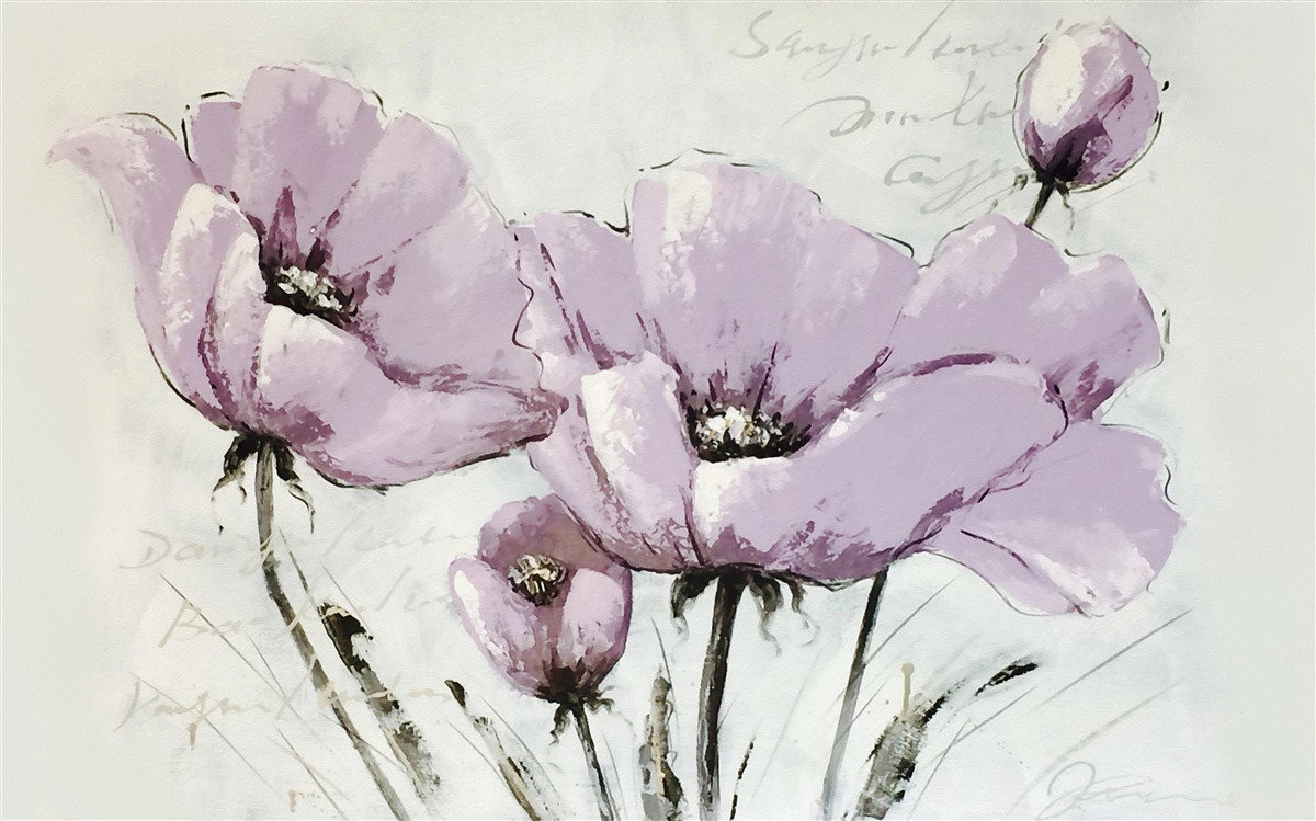 Fototapeta záhon s letnými makmi v lila farbe