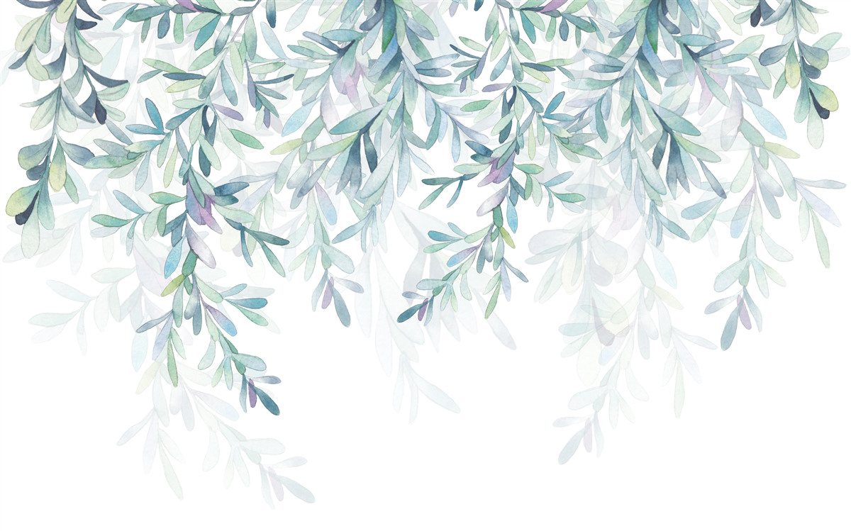 Fototapeta listy na konároch sa zelenajú