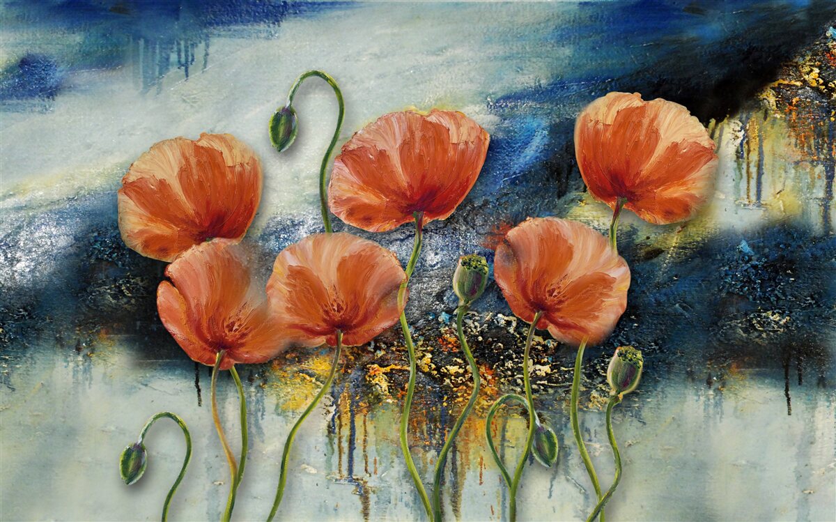 Fototapeta kolekcia pôvabných šarlátových letných makov