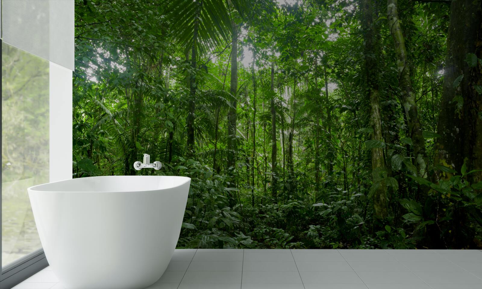 Fototapeta krajina dažďového pralesa, amazon