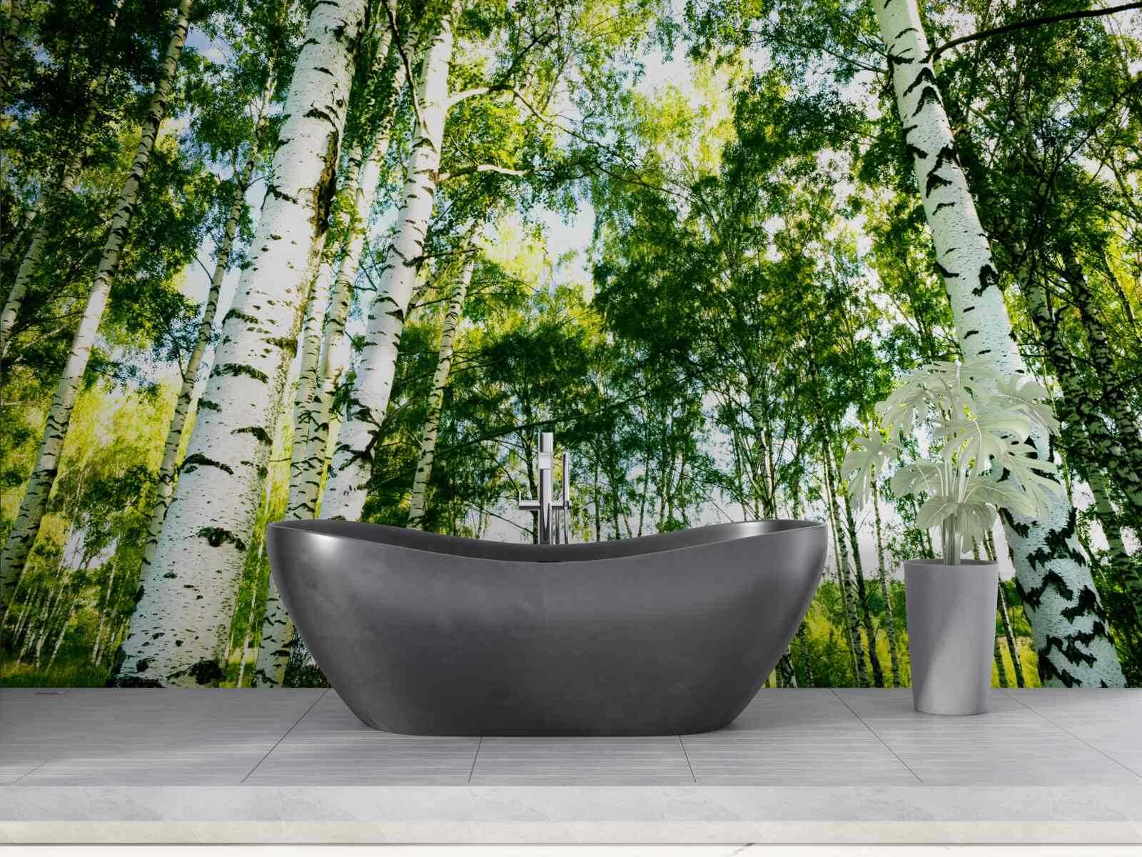 Fototapeta brezový les