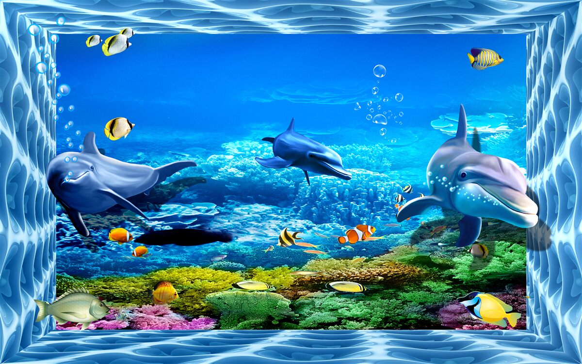 Fototapeta delfíny vo vodnej zoo