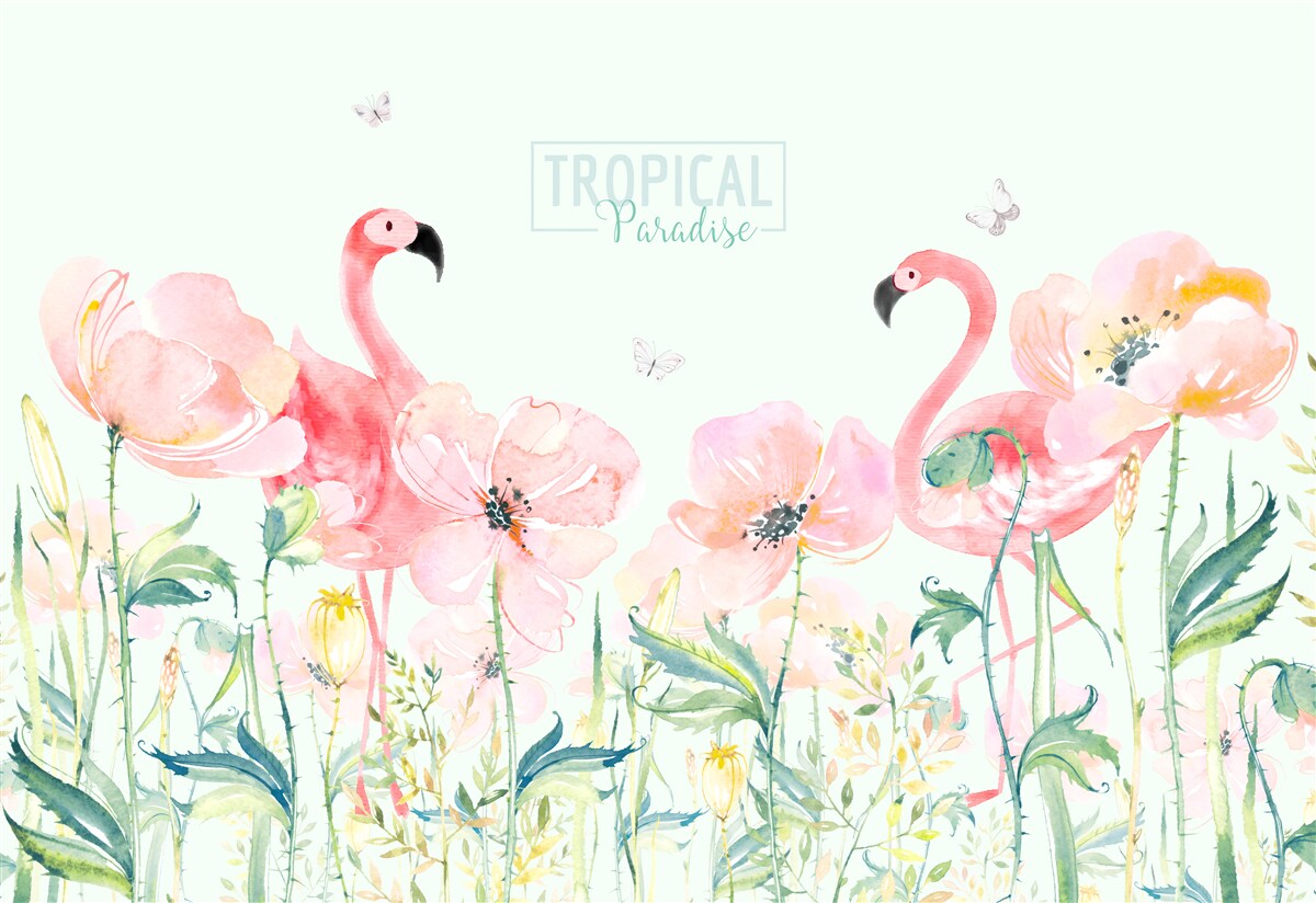 Fototapeta Plamienok je druh vtáka, ktorý vie plávať