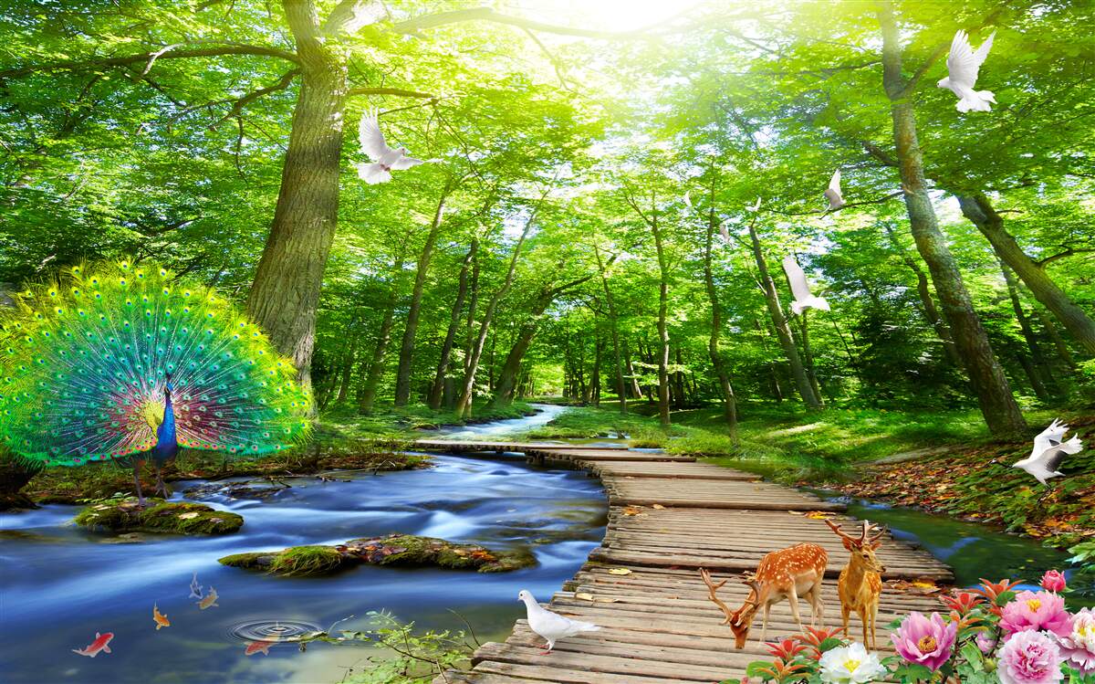 Fototapeta lesných tvorov