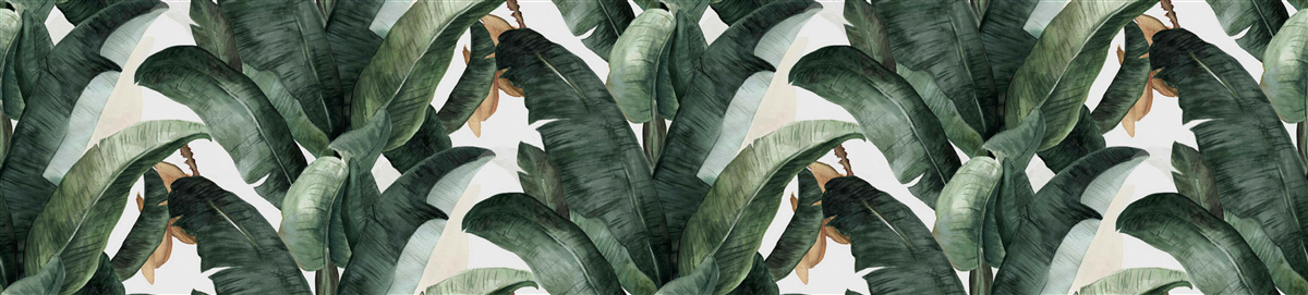 Fototapeta tropická zelená