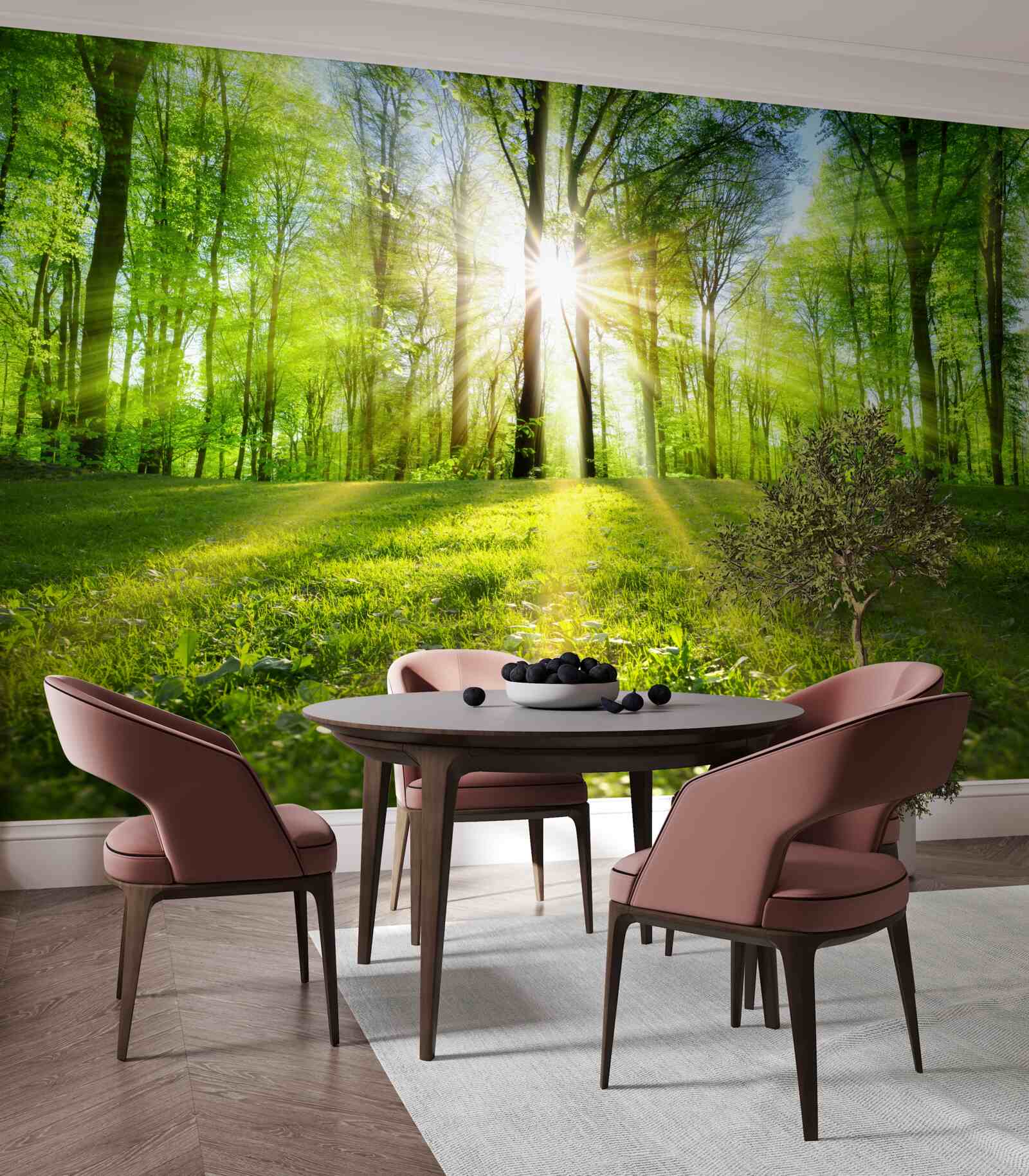 Fototapeta slnečné lúče prenikajú cez stromy