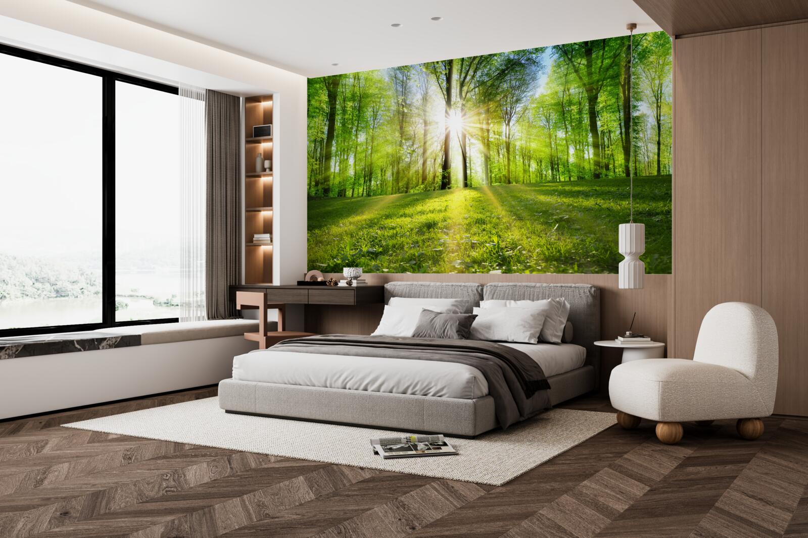 Fototapeta slnečné lúče prenikajú cez stromy