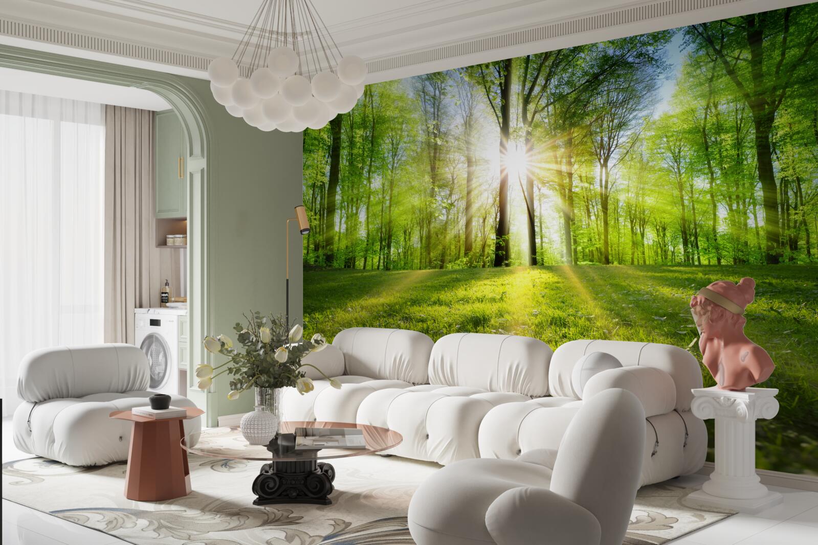 Fototapeta slnečné lúče prenikajú cez stromy