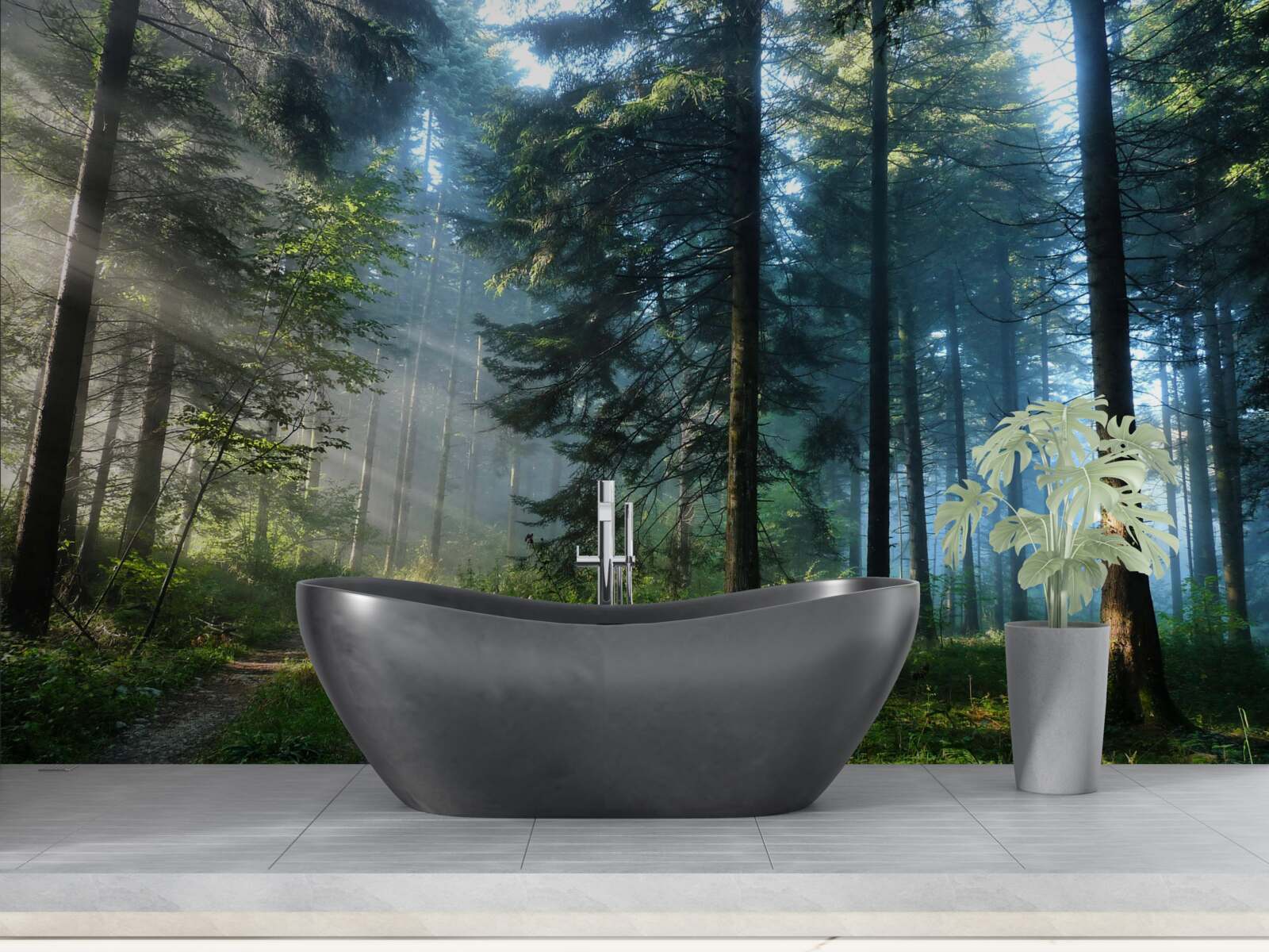 Fototapeta les plný borovíc