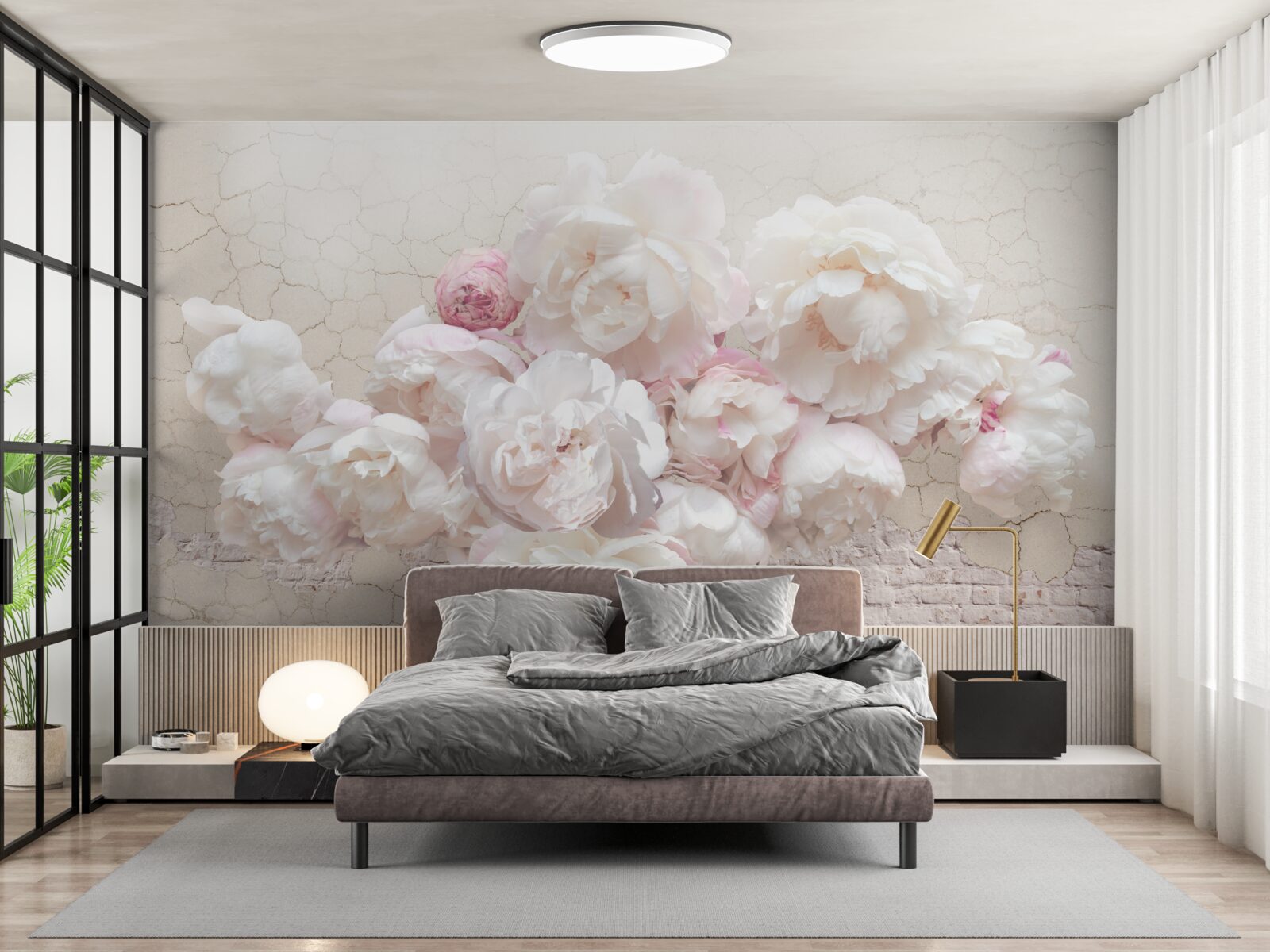 Fototapeta Snehobiele pivonky, nežne hladkajúce