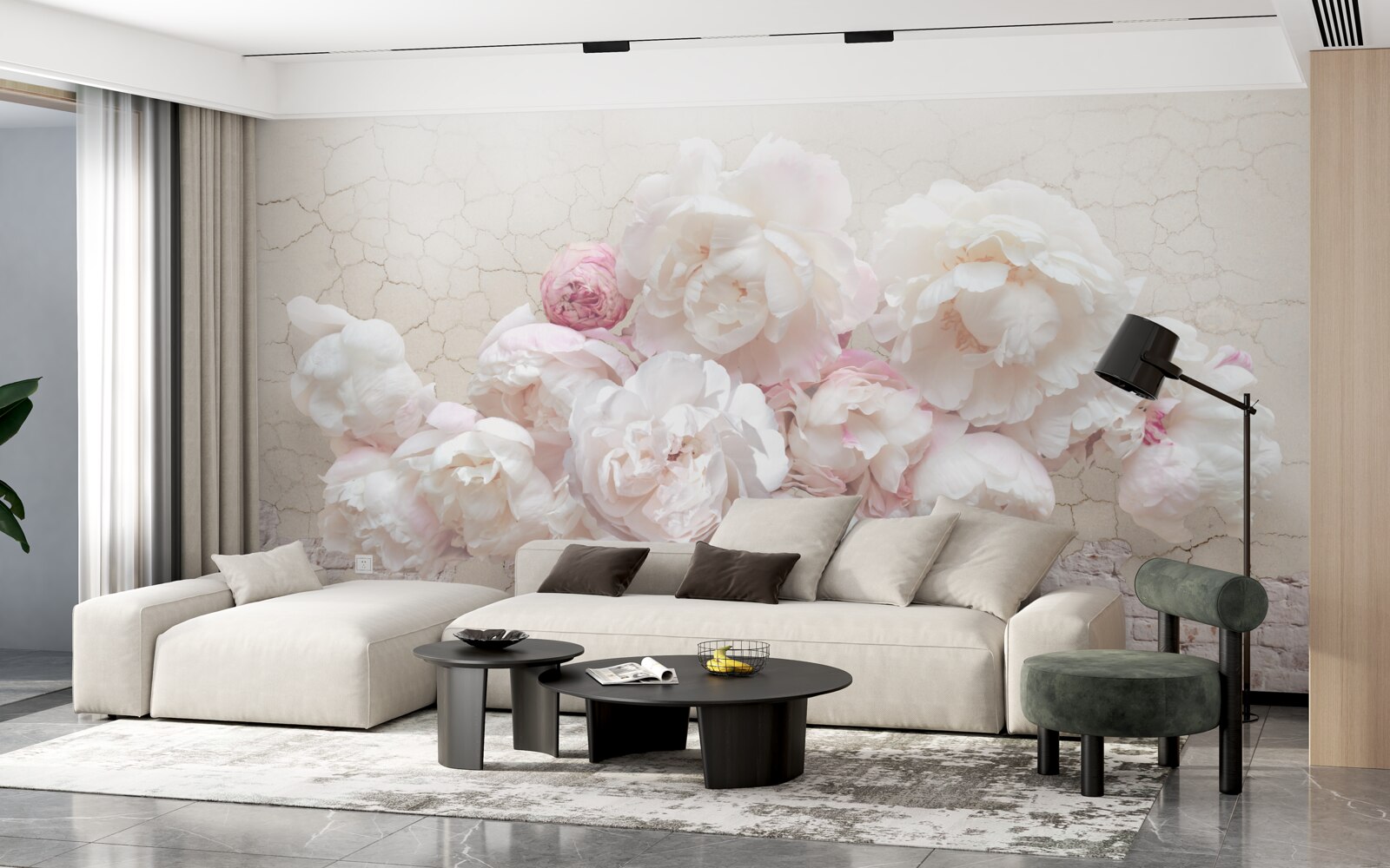 Fototapeta Snehobiele pivonky, nežne hladkajúce