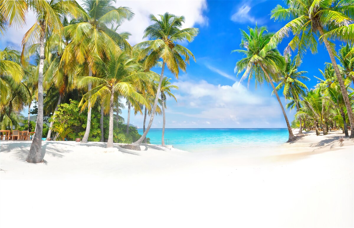 Fototapeta pláž posiata palmami