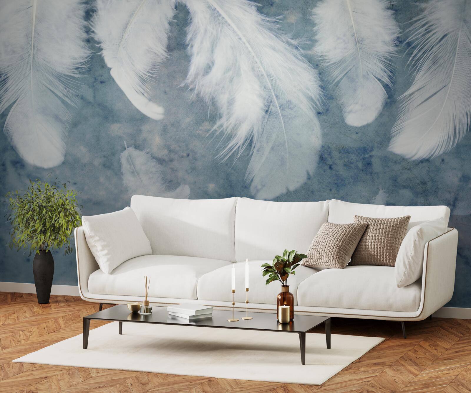 Fototapeta modré pozadie zvýrazňuje pierko